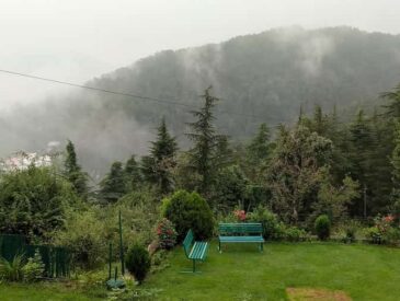 Chail, Himachal Pradesh